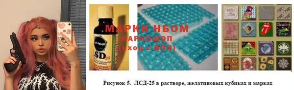 стаф Алзамай