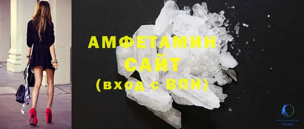 стаф Алзамай