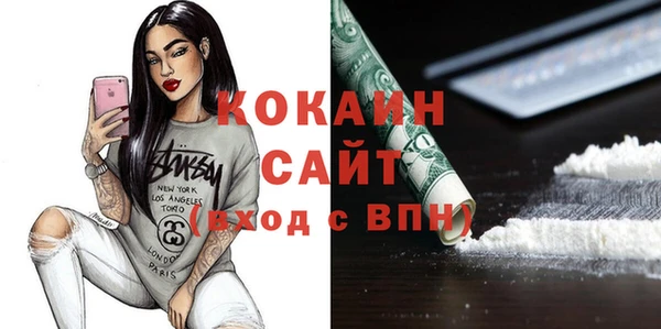 стаф Алзамай