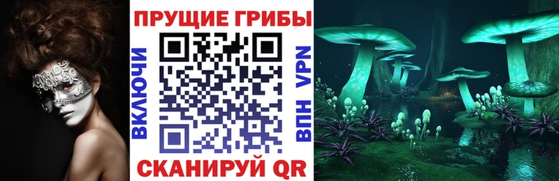 Галлюциногенные грибы прущие грибы  Палласовка 