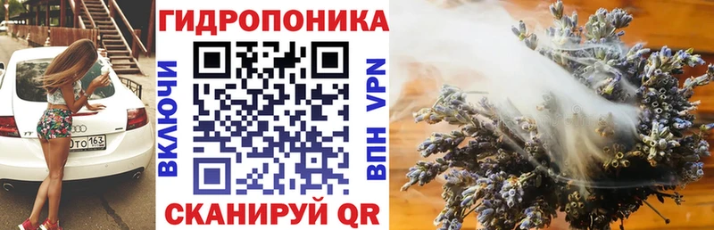 Канабис сатива  mega tor  Палласовка  цена наркотик 